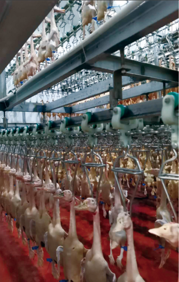 肉类海鲜冷库项目