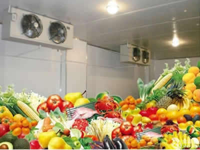 急速冷冻 冷库安装公司坚固耐用 各种规格 设计安装